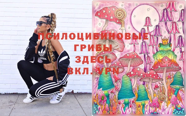 бошки Володарск