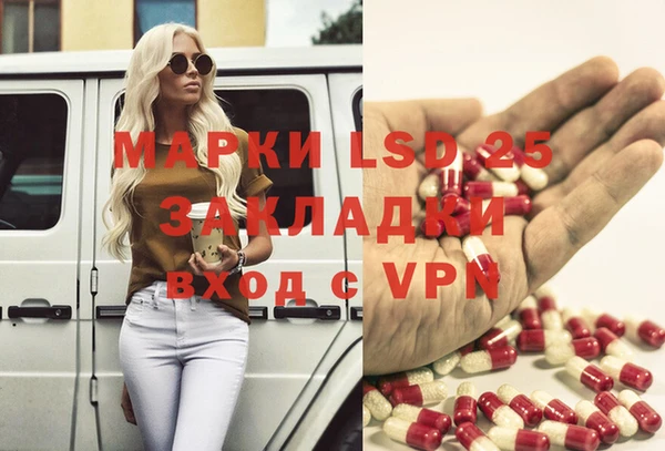 ПСИЛОЦИБИНОВЫЕ ГРИБЫ Волосово